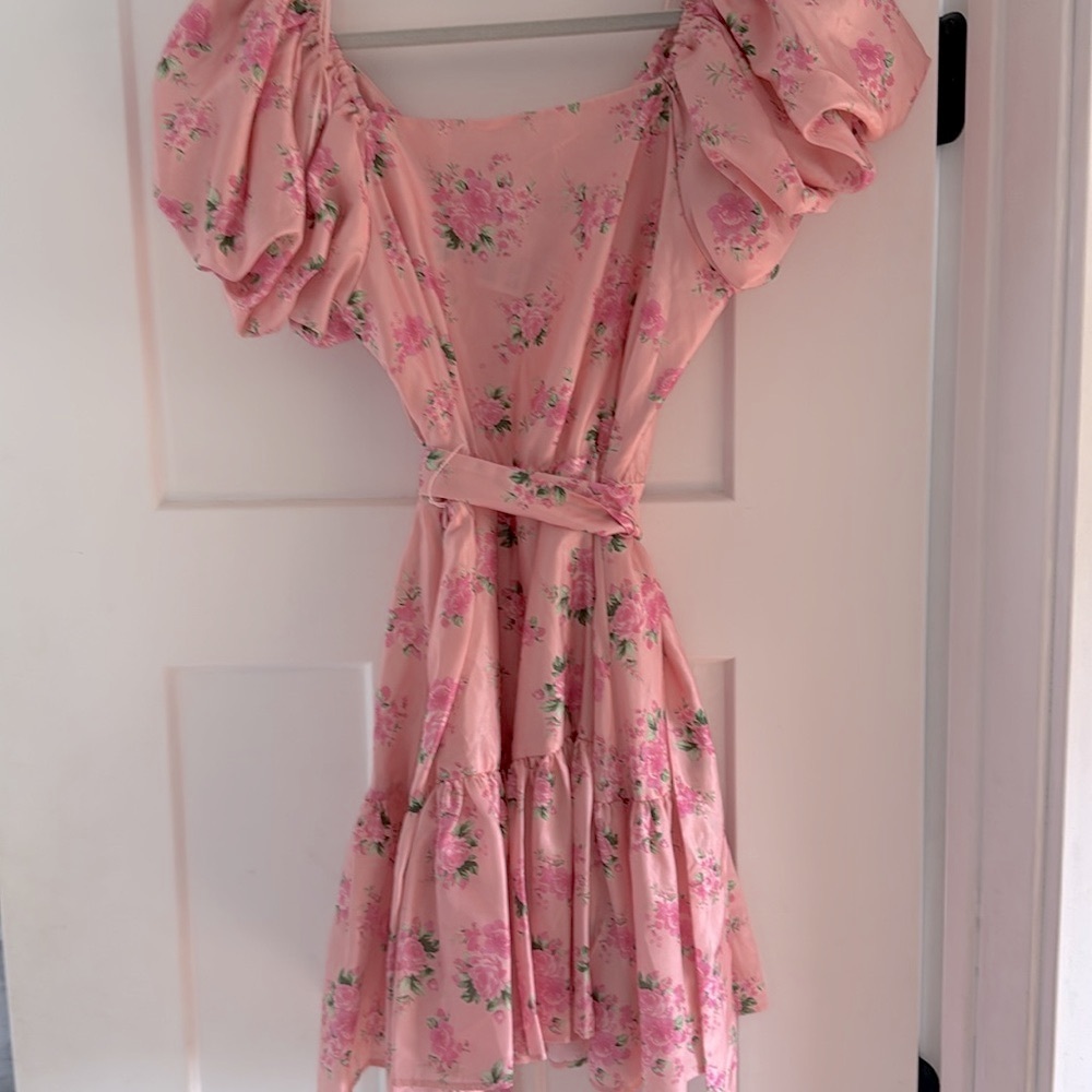 LoveShackFancy Pink Ruffled Mini Dress - Picture 2 of 3